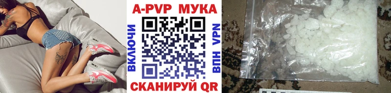 дарнет шоп  Гатчина  kraken зеркало  Alfa_PVP крисы CK 