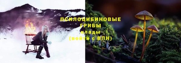 кокс Белокуриха