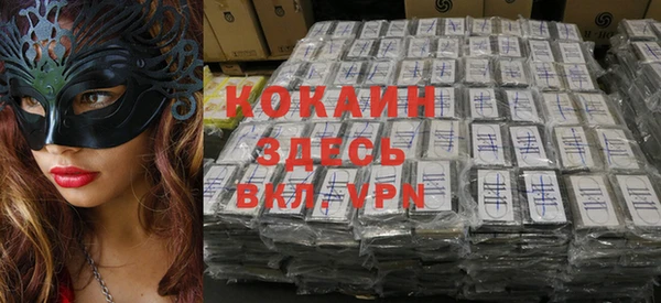 кокс Белокуриха