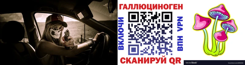 Галлюциногенные грибы Psilocybe  Гатчина 